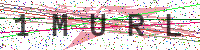 Enter Security Code