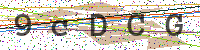 Sicherheitscode eingeben