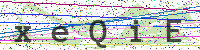 Sicherheitscode eingeben