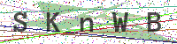Sicherheitscode eingeben