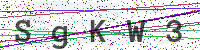 Sicherheitscode eingeben