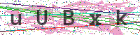 Enter Security Code