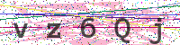 Enter Security Code