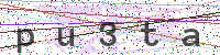 Enter Security Code