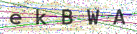 Enter Security Code