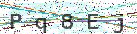 Enter Security Code