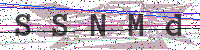 Enter Security Code