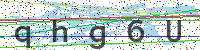 Sicherheitscode eingeben