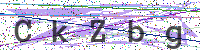 Enter Security Code