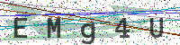 Enter Security Code