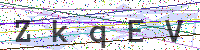 Enter Security Code