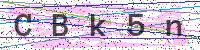 Enter Security Code