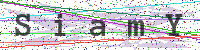 Sicherheitscode eingeben