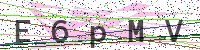 Enter Security Code