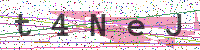 Enter Security Code
