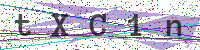 Sicherheitscode eingeben