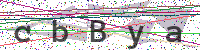 Sicherheitscode eingeben