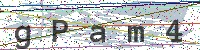 Sicherheitscode eingeben