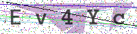 Enter Security Code