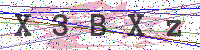 Enter Security Code