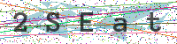 Enter Security Code