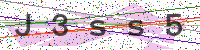 Enter Security Code