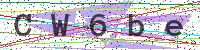 Enter Security Code