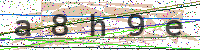 Enter Security Code