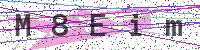 Enter Security Code