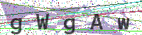 Enter Security Code