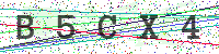 Enter Security Code