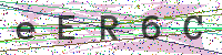 Enter Security Code