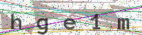 Enter Security Code