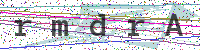 Enter Security Code