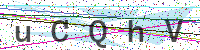 Enter Security Code