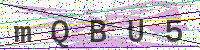 Enter Security Code