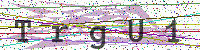 Sicherheitscode eingeben