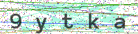 Sicherheitscode eingeben