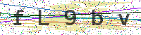 Enter Security Code