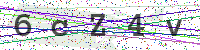 Enter Security Code