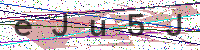 Enter Security Code