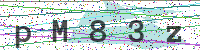 Enter Security Code