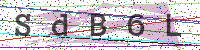 Enter Security Code