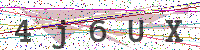 Enter Security Code