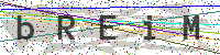 Sicherheitscode eingeben