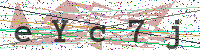Enter Security Code