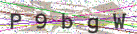 Enter Security Code