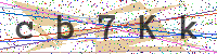 Enter Security Code