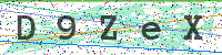 Enter Security Code