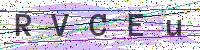 Enter Security Code